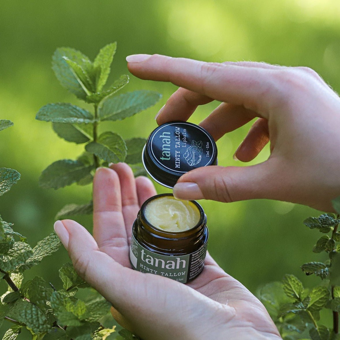 "Minty Tallow" - miętowy balsam do ust (15ml)