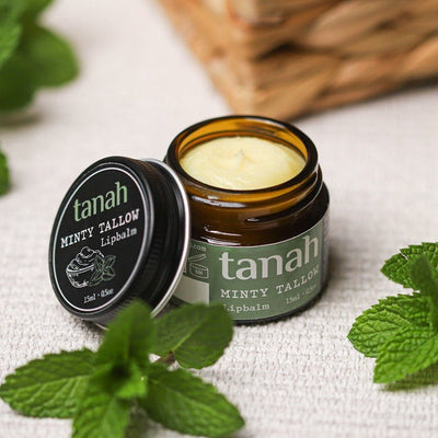 "Minty Tallow" - miętowy balsam do ust (15ml)